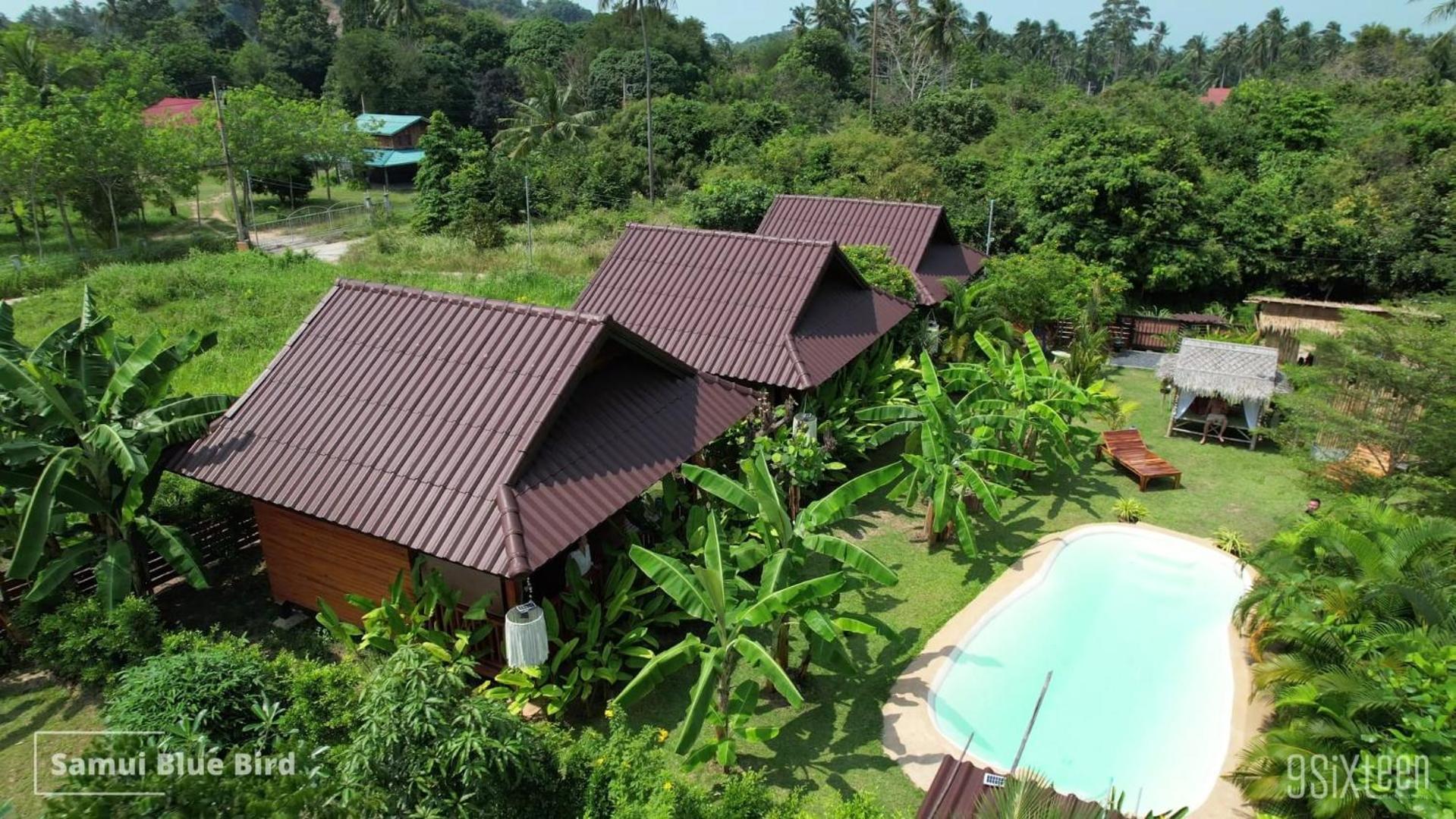 Bed and Breakfast Samui Blue Bird Mae Nam Exterior foto